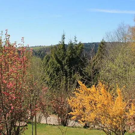 Apartment Gemuetliche Ferienwohnung Im Schwarzwald